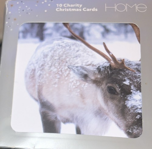 Pack christmas cards - pack, 10