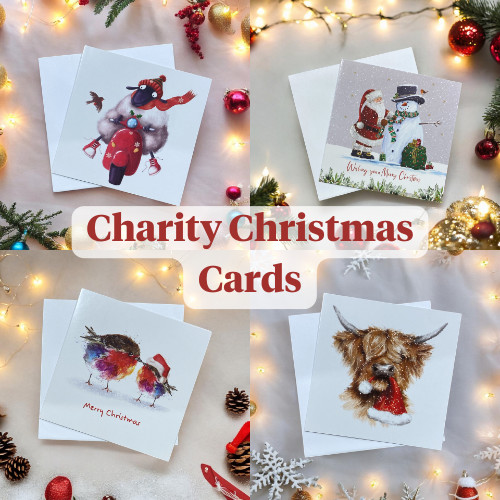 Charity christmas cards pack - christmas,