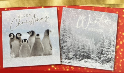 Bnib square xmas - 6”,