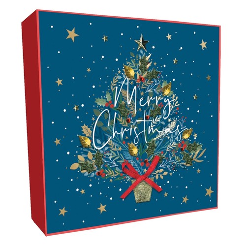 Box luxury christmas - box, of