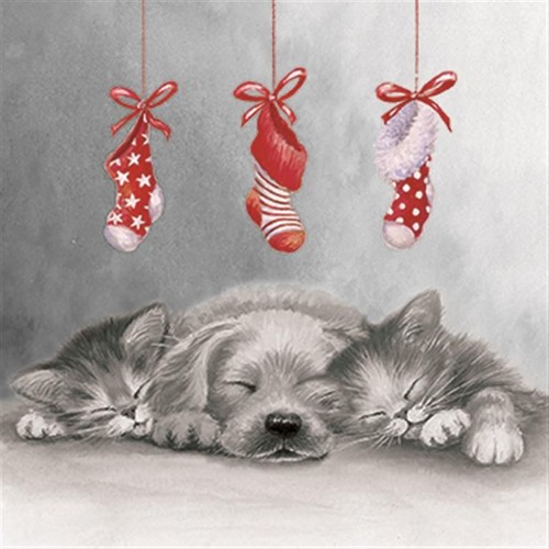 17277 christmas eve pack of - 'christmas, eve'