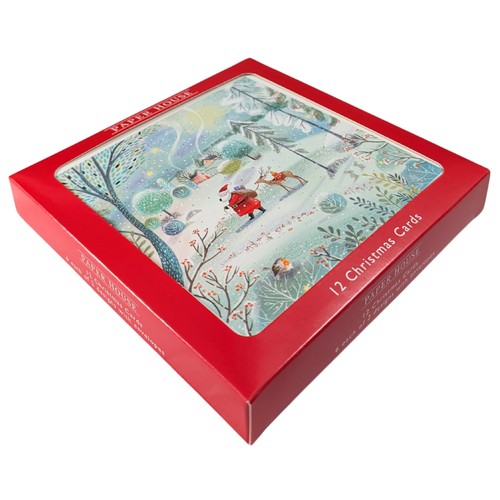 Box santa reindeer - 12,