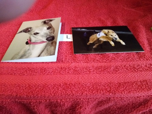 Pack xmas cards - 6,