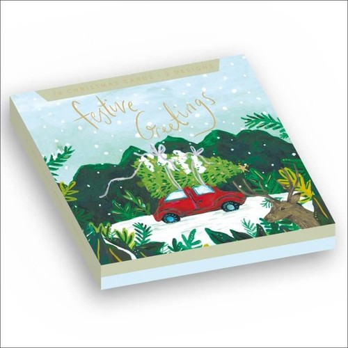 Christmas cards pack 10 - cards, of