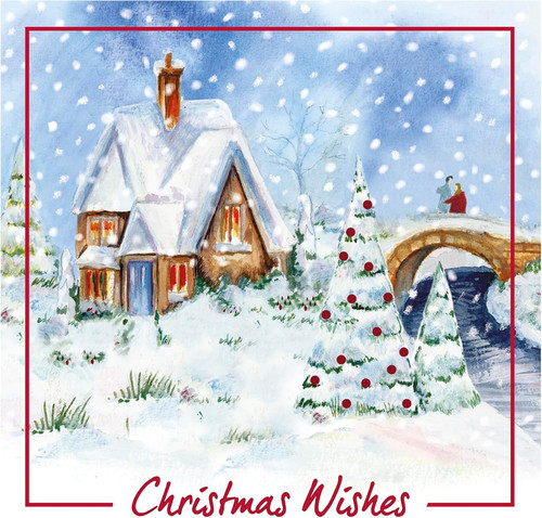 Pack assorted christmas - pack, of