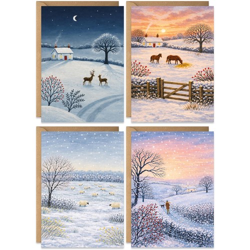 Charity christmas cards pack - charity,