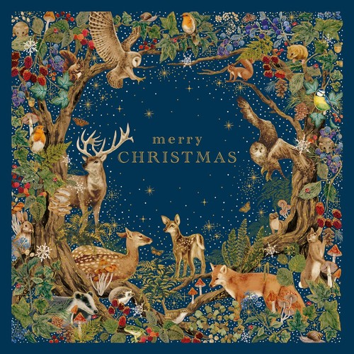 Christmas cards luxury pack - luxury, 8