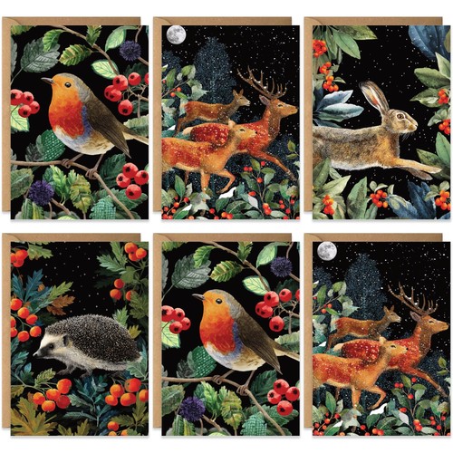 Charity christmas cards - cards, pack