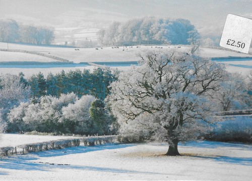 Snowy landscape pack 8 - pack,