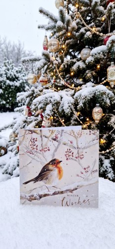 Christmas cards pack - christmas,